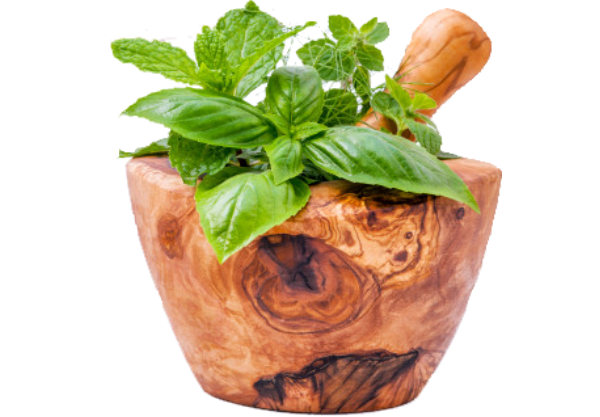 Ayurveda